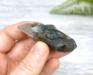 Tiger Blue Tara Quartz #5