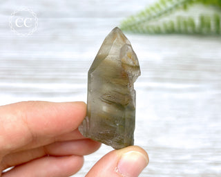 Tiger Blue Tara Quartz #6