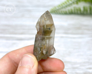 Tiger Blue Tara Quartz #6