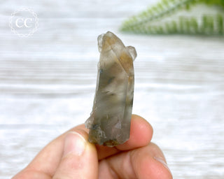 Tiger Blue Tara Quartz #6