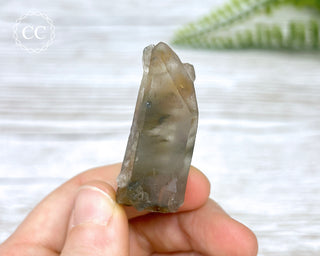 Tiger Blue Tara Quartz #6