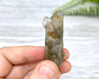 Tiger Blue Tara Quartz #6