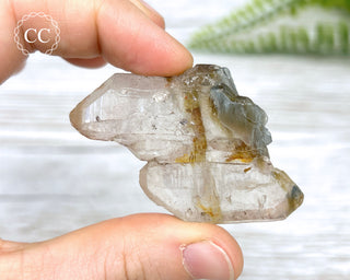 Tiger Blue Tara Quartz #7