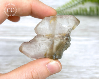 Tiger Blue Tara Quartz #7