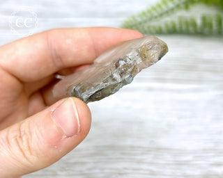 Tiger Blue Tara Quartz #7