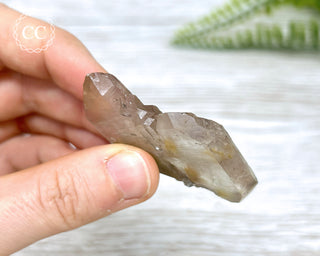 Tiger Blue Tara Quartz #7