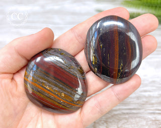 Tiger Iron Palm Stone
