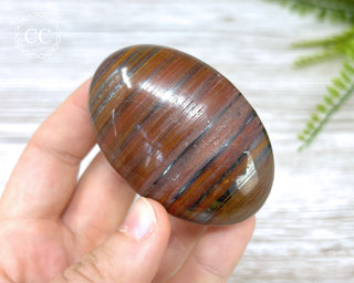 Tiger Iron Chunky Palm Stone #1
