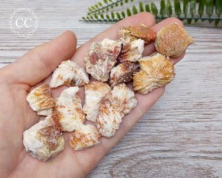 Vanadinite with Baryte crystals in hand