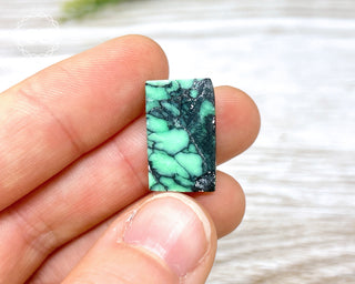 Variscite Cabochon  #1