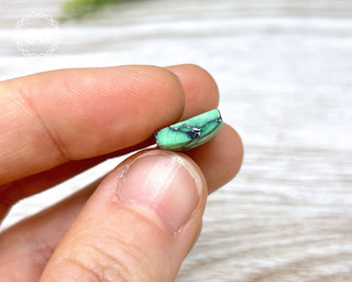 Variscite Cabochon  #1