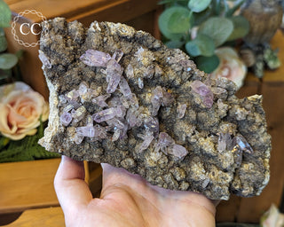 Large Vera Cruz Amethyst Cluster #2