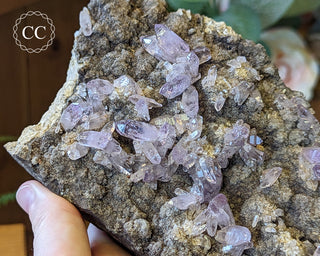 Large Vera Cruz Amethyst Cluster #2