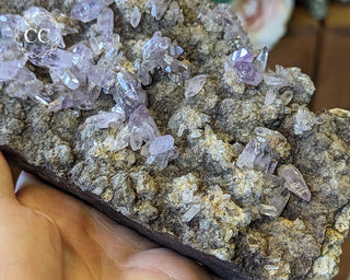 Large Vera Cruz Amethyst Cluster #2