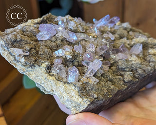 Large Vera Cruz Amethyst Cluster #2