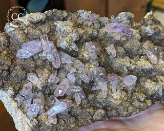 Large Vera Cruz Amethyst Cluster #2