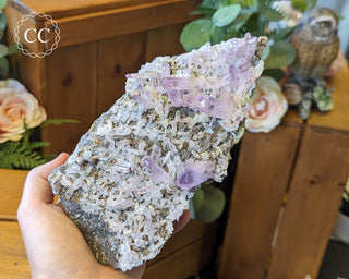 Large Vera Cruz Amethyst Cluster #1