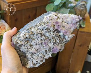 Large Vera Cruz Amethyst Cluster #1