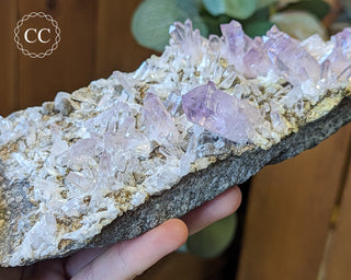 Large Vera Cruz Amethyst Cluster #1