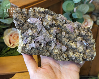 Large Vera Cruz Amethyst Cluster #2