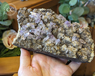 Large Vera Cruz Amethyst Cluster #2