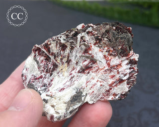 Villiaumite Specimen #3