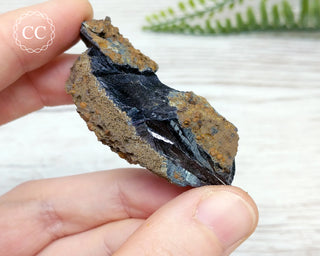Vivianite Specimen - Brazil #10