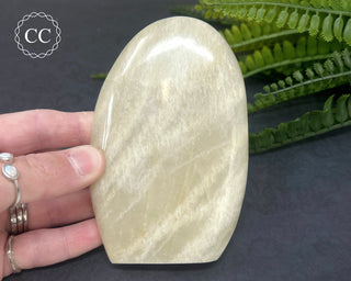 White Moonstone Freeform #1