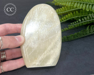 White Moonstone Freeform #1