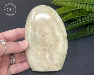White Moonstone Freeform #1