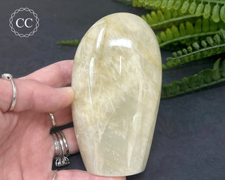 White Moonstone Freeform #5