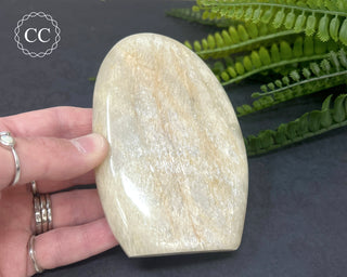 White Moonstone Freeform #1