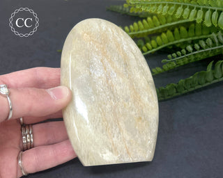 White Moonstone Freeform #1
