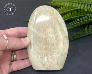 White Moonstone Freeform #1
