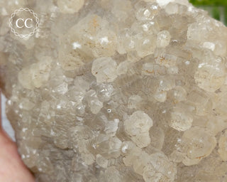 Witherite Specimen - Settlingstones Mine #1