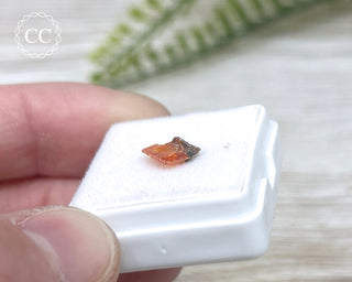 Wulfenite Crystal #5