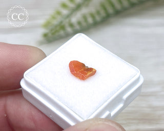 Wulfenite Crystal #8