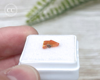 Wulfenite Crystal #8