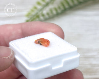 Wulfenite Crystal #8