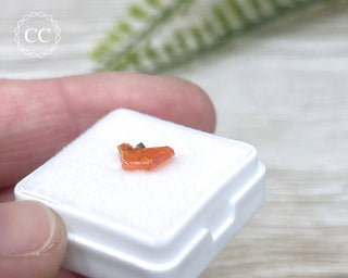 Wulfenite Crystal #8