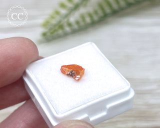 Wulfenite Crystal #8