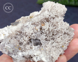 Wulfenite & Calcite Specimen, Hull Mine AZ #3