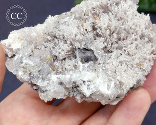 Wulfenite & Calcite Specimen, Hull Mine AZ #3