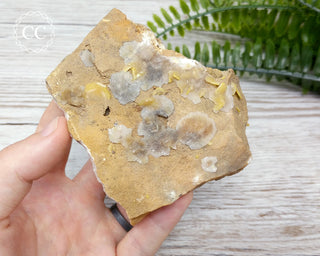 Wulfenite Specimen - Morocco #4