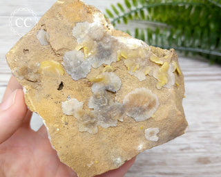 Wulfenite Specimen - Morocco #4
