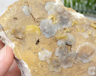 Wulfenite Specimen - Morocco #4