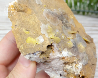 Wulfenite Specimen - Morocco #4