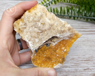 Wulfenite Specimen - Morocco #4