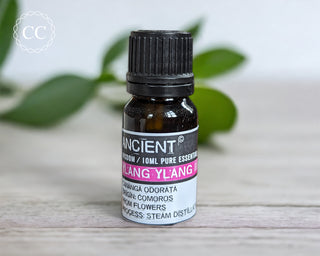 Ylang Ylang 3 Essential Oil on a table