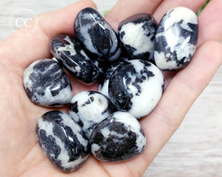 Zebra Jasper | Zebra Marble Tumbled Crystals in hand